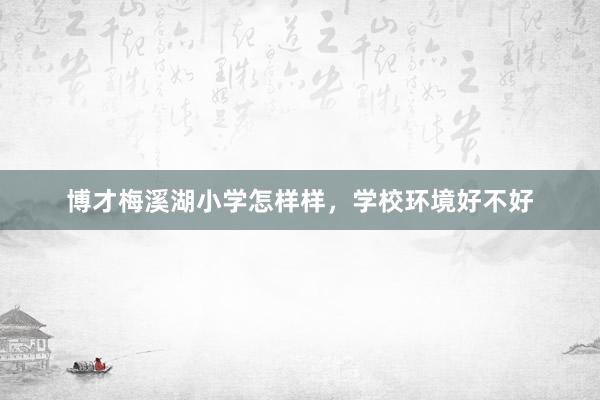 博才梅溪湖小学怎样样，学校环境好不好