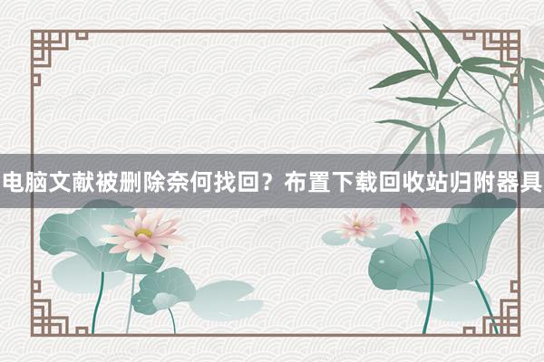 电脑文献被删除奈何找回？布置下载回收站归附器具